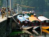 Srinagar-Sulle sponde del lago Dal